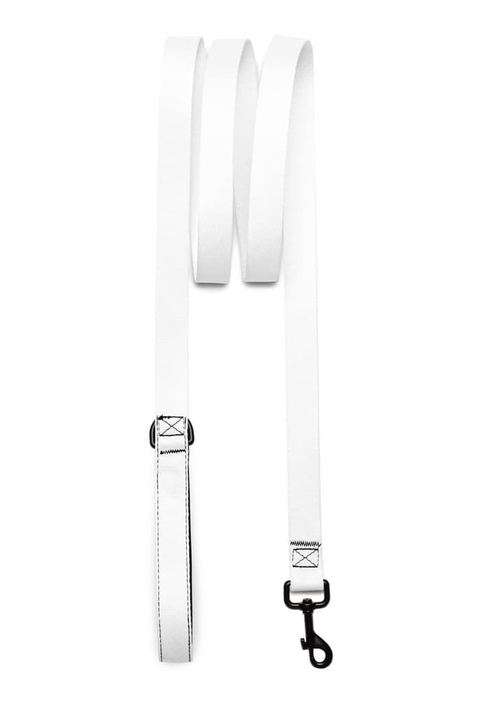 Pet Leash — White