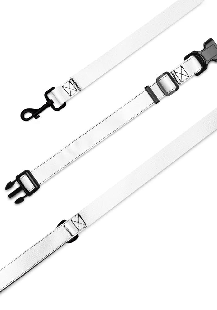 Pet Collar & Leash — White