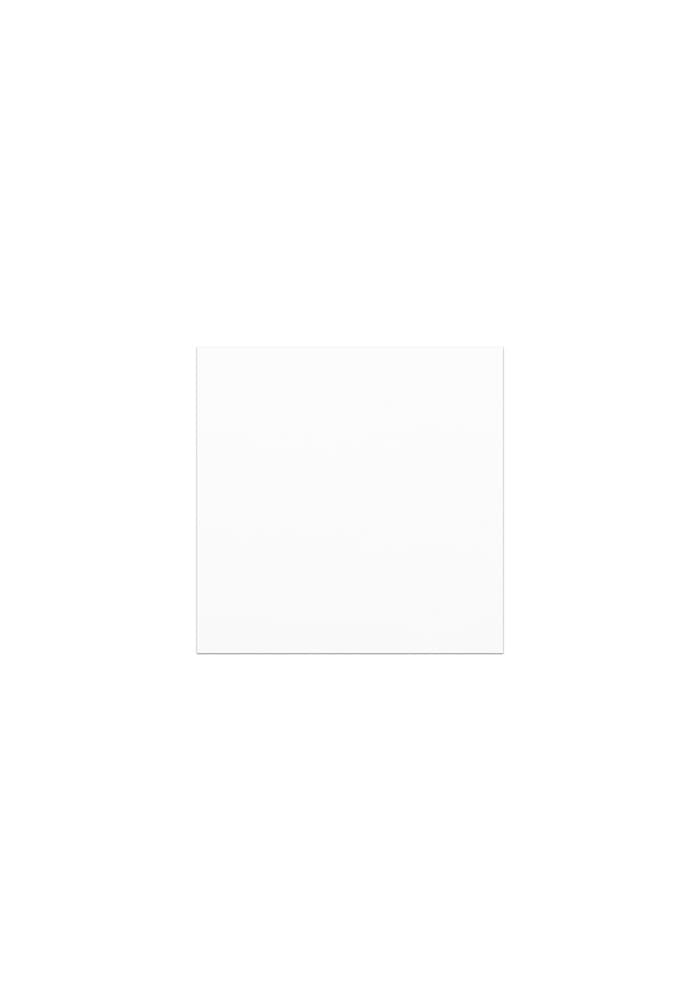 Car Magnets — White