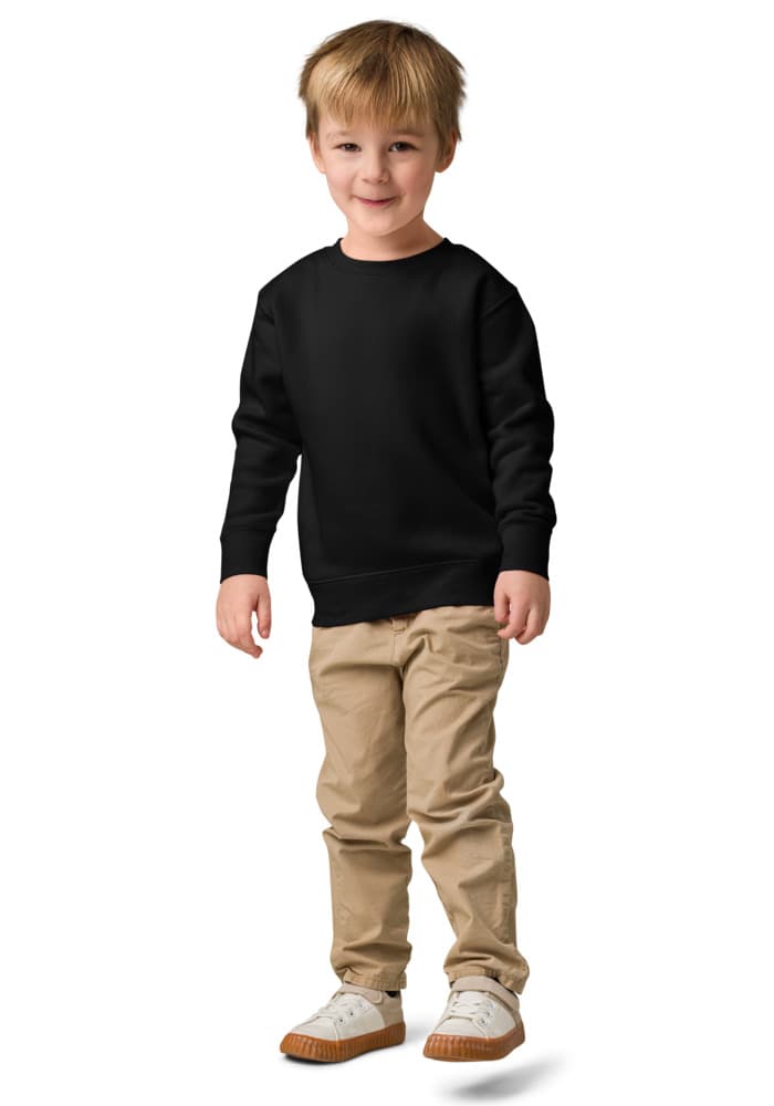 Kids Crew Neck Sweatshirt | Rabbit Skins 3317 — Black