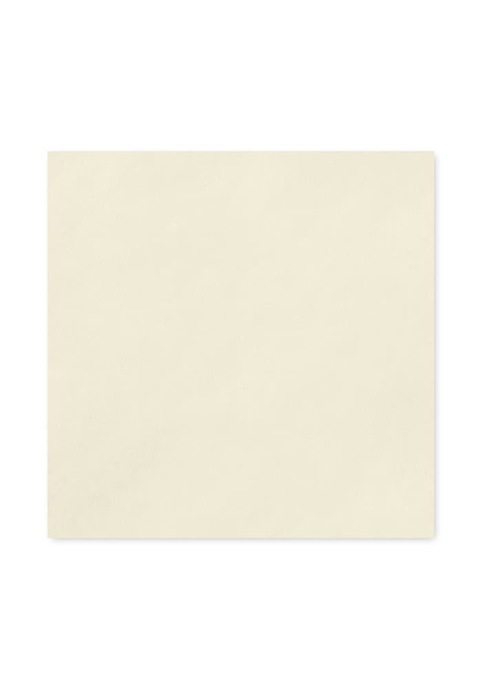 Uncoined Napkins set of 50 — Ecru