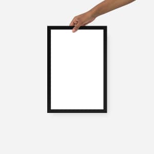 Premium Luster Photo Paper Framed Poster (in)
